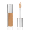 TINTS FEAST Ethereal Mwanga Illuminating Smoothing Concealer