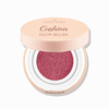 TINTS FEAST Cushion Blush