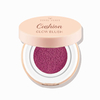 TINTS FEAST Cushion Blush