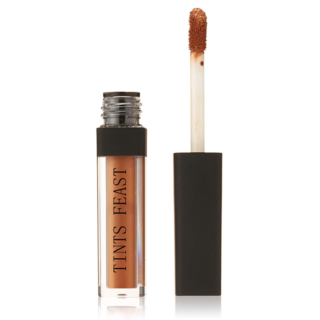Tints Feast HD Photogenic Concealer
