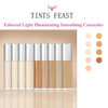 TINTS FEAST Ethereal Mwanga Illuminating Smoothing Concealer