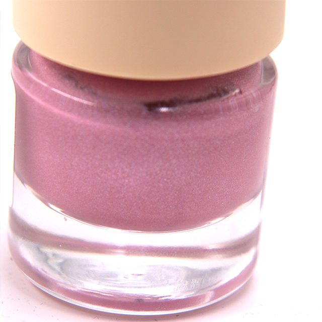 رژگونه مایع TINTS FEAST مات و براق