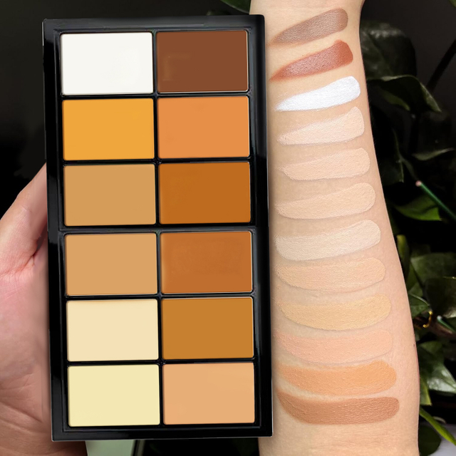 TINTS FEAST 12 Color Creamy Highlighter Contour Blush Palette