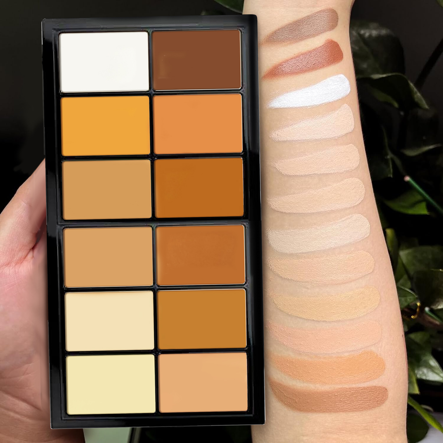 TINTS FEAST 12 Color Creamy Highlighter Contour Blush Palette