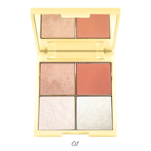 TINTS FEAST 4 COLOR BLUSH HIGHLIGHTER PALETTE OEM-LOGO