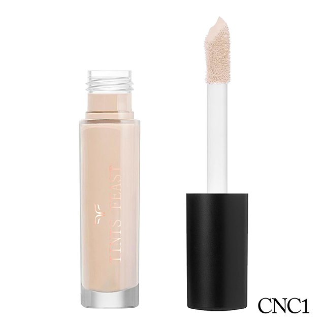 TINTS FEAST Italy Quality Liquid Concealer