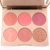 Paleta de contorno de blush TINTS FEAST 6 cores