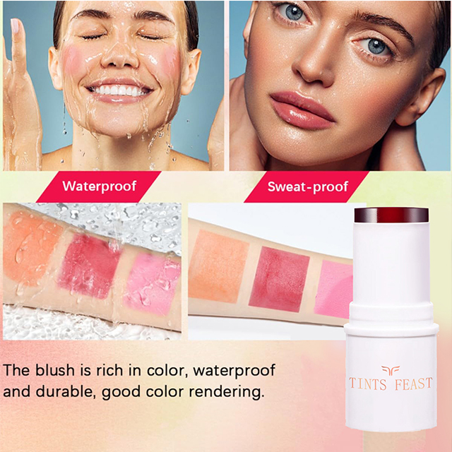 TINTS FEST WATER JELLY TINTS Rougestift