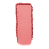 TINTS FEAST Blush Powder Табиғи жылтыр қызару