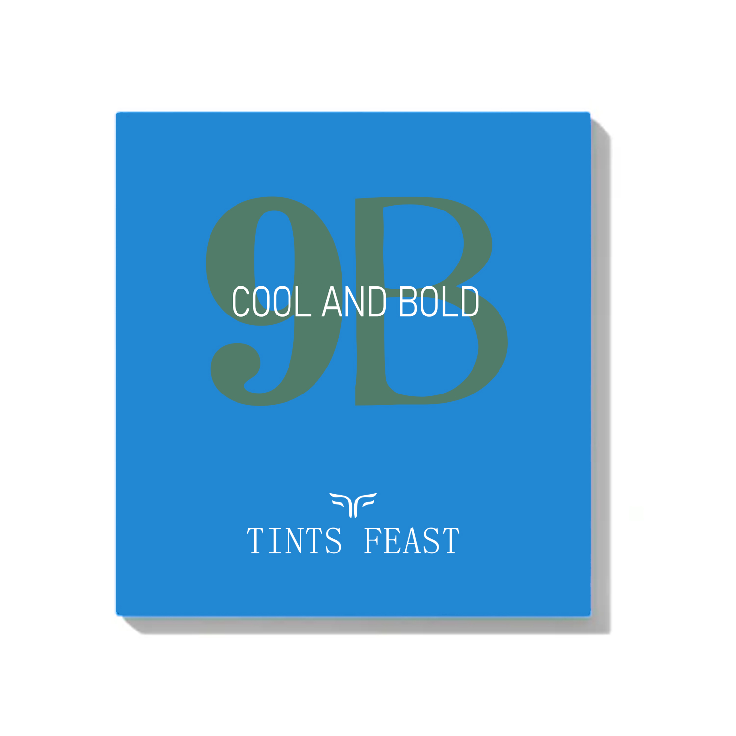 TINTS FEAST 9 Colour Eyeshadow palet sejuk dan berani