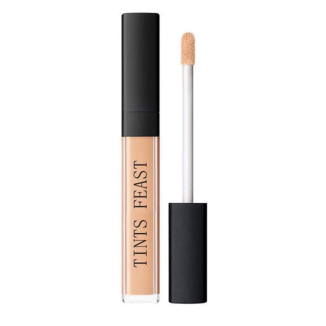 Tints Feast HD Photogenic Concealer