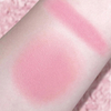 TINTS FEAST Blush Powder Табиғи жылтыр қызару